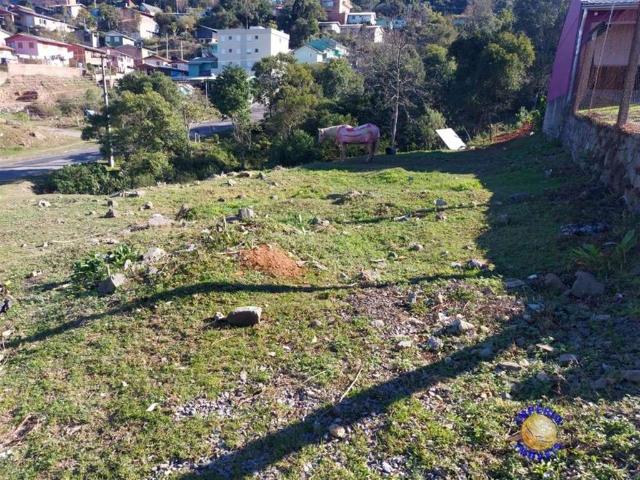 Terreno / Lote para Venda em Caxias do Sul/RS Caravaggio