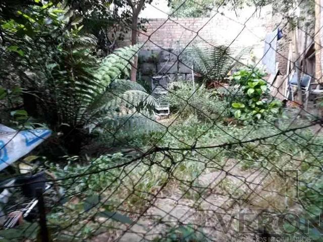 Terreno / Lote para Venda em Caxias do Sul/RS Centro