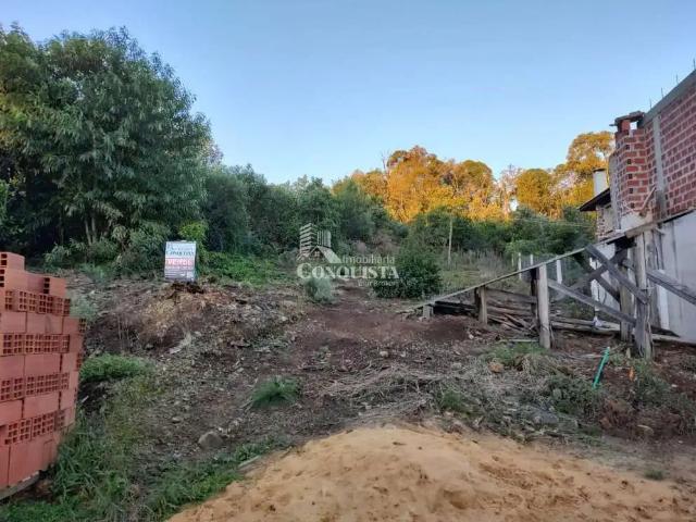 Terreno / Lote para Venda em Caxias do Sul/RS Centro