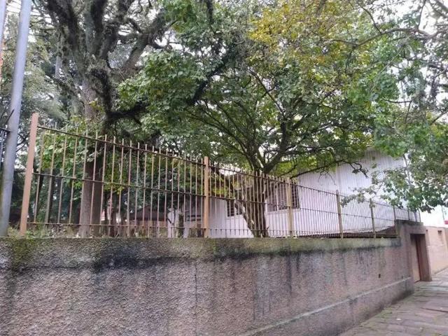 Terreno / Lote para Venda em Caxias do Sul/RS Centro