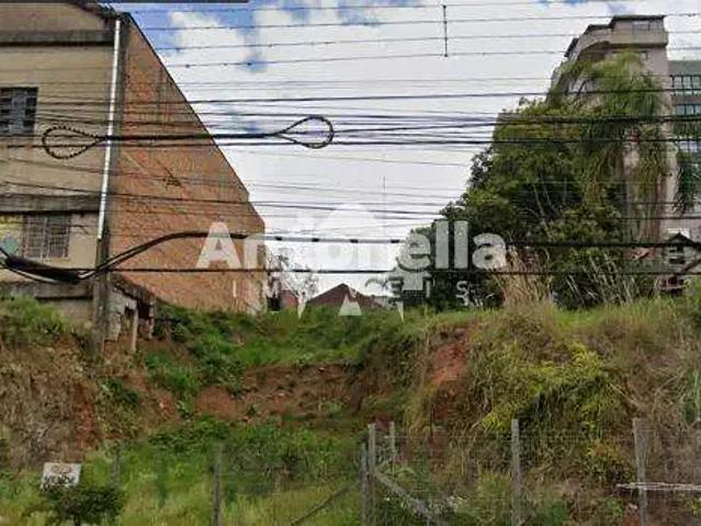 Terreno / Lote para Venda em Caxias do Sul/RS Centro