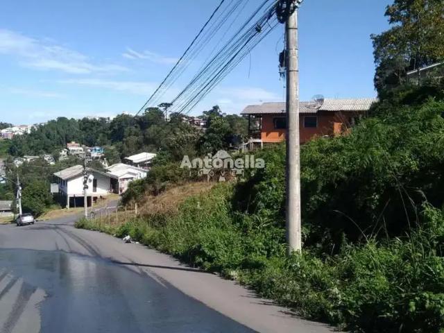 Terreno / Lote para Venda em Caxias do Sul/RS Charqueadas