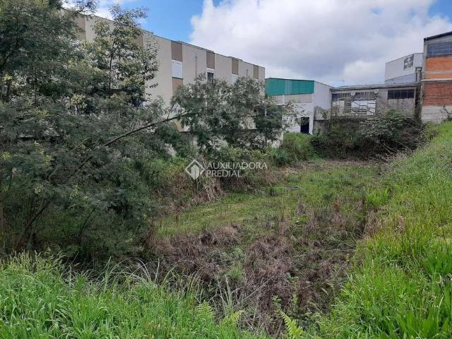 Terreno / Lote para Venda em Caxias do Sul/RS Charqueadas
