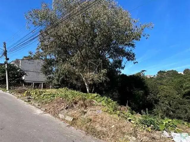 Terreno / Lote para Venda em Caxias do Sul/RS Charqueadas