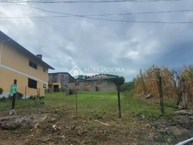 Terreno / Lote para Venda em Caxias do Sul/RS Charqueadas
