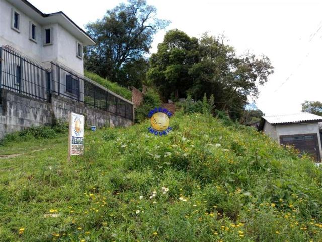 Terreno / Lote para Venda em Caxias do Sul/RS Charqueadas
