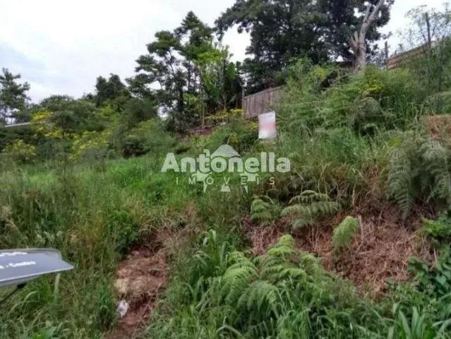 Terreno / Lote para Venda em Caxias do Sul/RS Charqueadas