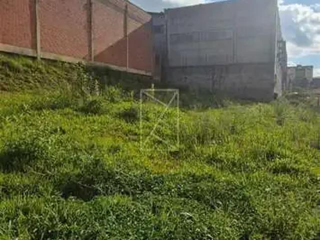 Terreno / Lote para Venda em Caxias do Sul/RS Cidade Nova
