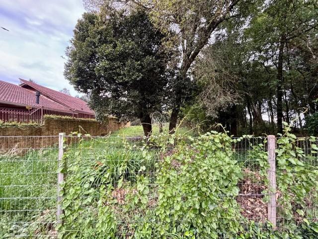 Terreno / Lote para Venda em Caxias do Sul/RS Cidade Nova