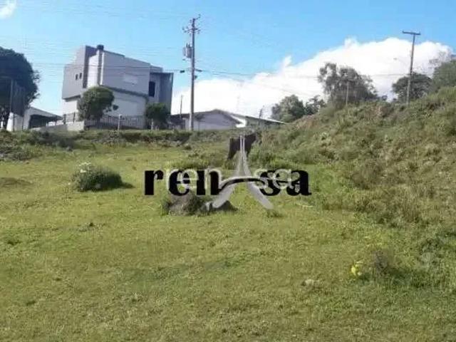 Terreno / Lote para Venda em Caxias do Sul/RS Cidade Nova