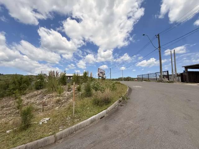Terreno / Lote para Venda em Caxias do Sul/RS Cidade Nova