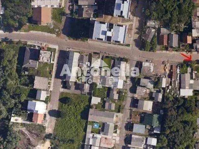 Terreno / Lote para Venda em Caxias do Sul/RS Cidade Nova
