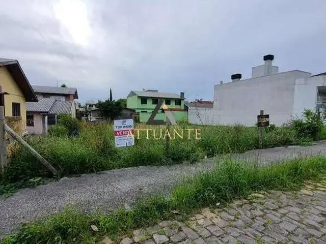 Terreno / Lote para Venda em Caxias do Sul/RS Cidade Nova