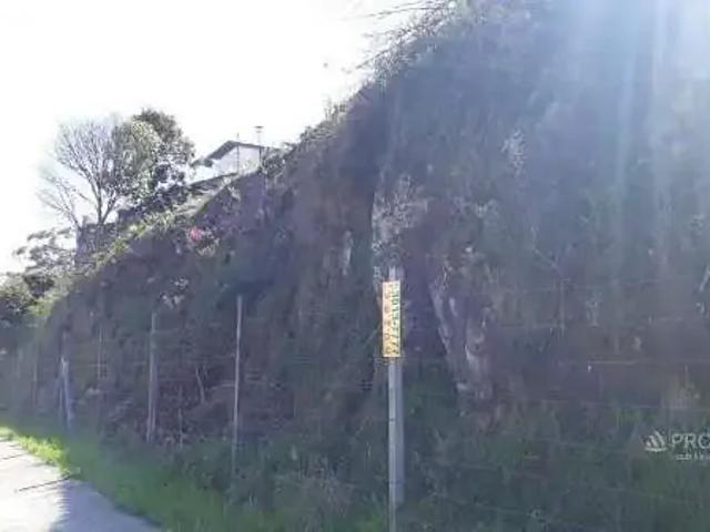 Terreno / Lote para Venda em Caxias do Sul/RS Cinqüentenário