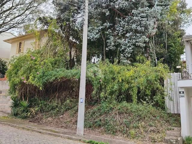 Terreno / Lote para Venda em Caxias do Sul/RS Cinqüentenário