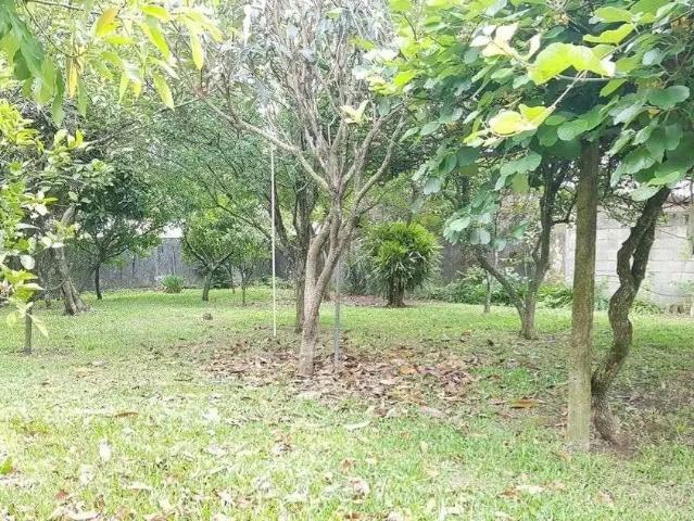 Terreno / Lote para Venda em Caxias do Sul/RS Cinqüentenário