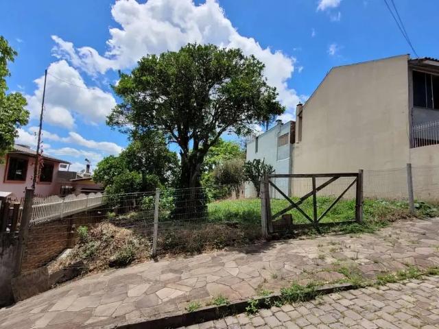 Terreno / Lote para Venda em Caxias do Sul/RS Cruzeiro