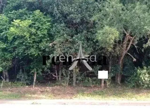Terreno / Lote para Venda em Caxias do Sul/RS Cruzeiro
