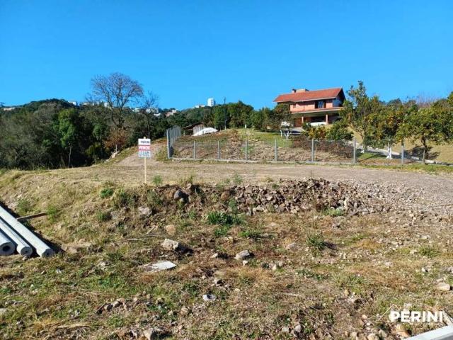 Terreno / Lote para Venda em Caxias do Sul/RS Cruzeiro