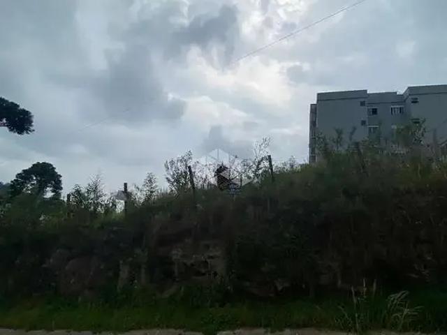 Terreno / Lote para Venda em Caxias do Sul/RS Cruzeiro