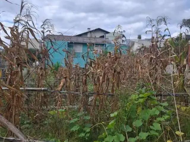 Terreno / Lote para Venda em Caxias do Sul/RS Cruzeiro