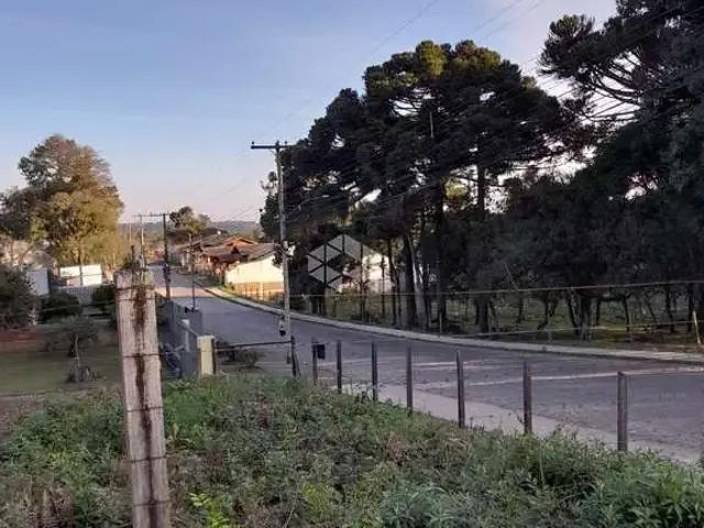 Terreno / Lote para Venda em Caxias do Sul/RS Cruzeiro
