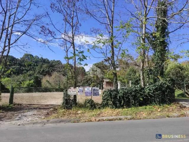 Terreno / Lote para Venda em Caxias do Sul/RS Cruzeiro