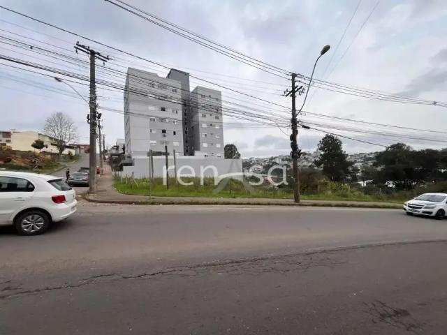 Terreno / Lote para Venda em Caxias do Sul/RS Cruzeiro