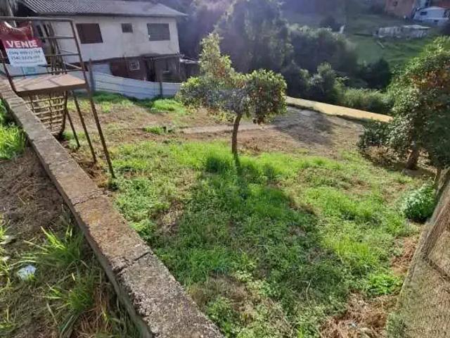 Terreno / Lote para Venda em Caxias do Sul/RS Cruzeiro