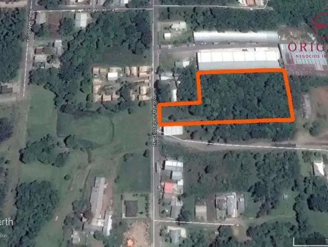 Terreno / Lote para Venda em Caxias do Sul/RS Cruzeiro