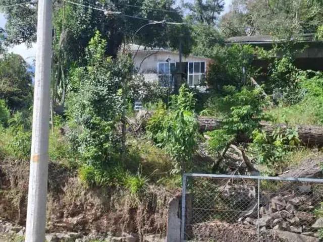 Terreno / Lote para Venda em Caxias do Sul/RS Cruzeiro