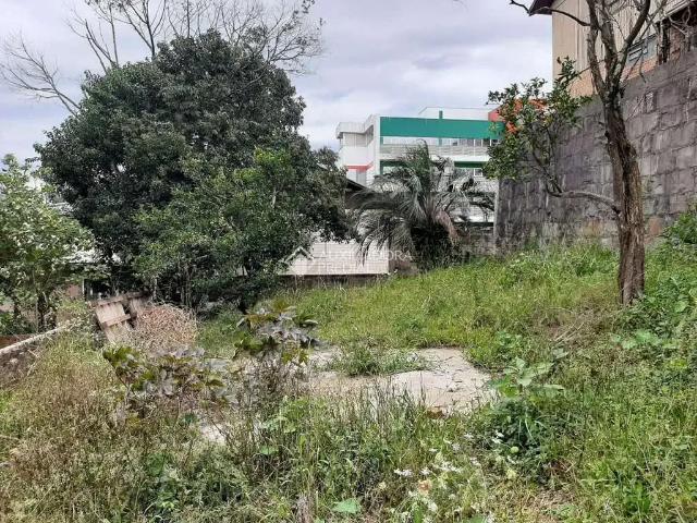 Terreno / Lote para Venda em Caxias do Sul/RS Cristo Redentor