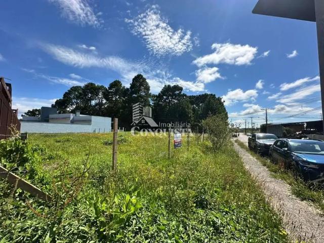 Terreno / Lote para Venda em Caxias do Sul/RS Ana Rech