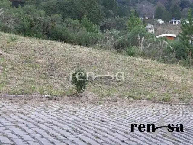 Terreno / Lote para Venda em Caxias do Sul/RS Ana Rech