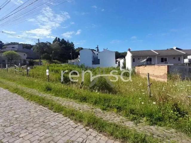 Terreno / Lote para Venda em Caxias do Sul/RS Ana Rech
