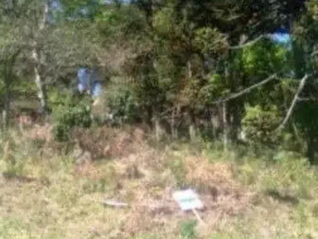 Terreno / Lote para Venda em Caxias do Sul/RS Ana Rech