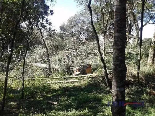 Terreno / Lote para Venda em Caxias do Sul/RS Ana Rech