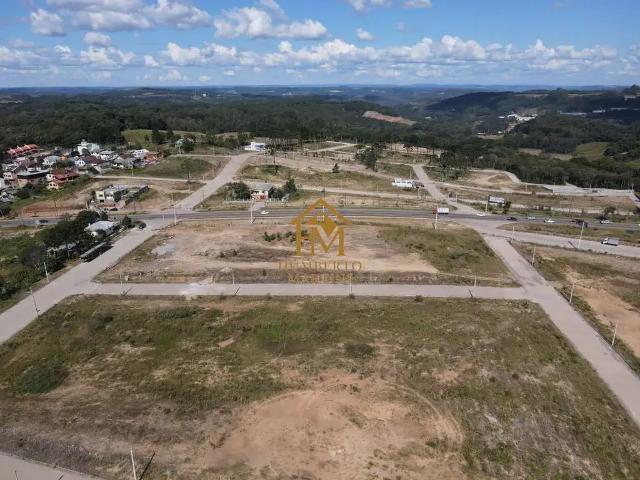 Terreno / Lote para Venda em Caxias do Sul/RS Ana Rech