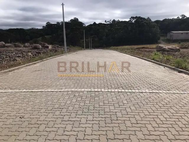 Terreno / Lote para Venda em Caxias do Sul/RS Ana Rech