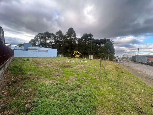 Terreno / Lote para Venda em Caxias do Sul/RS Ana Rech