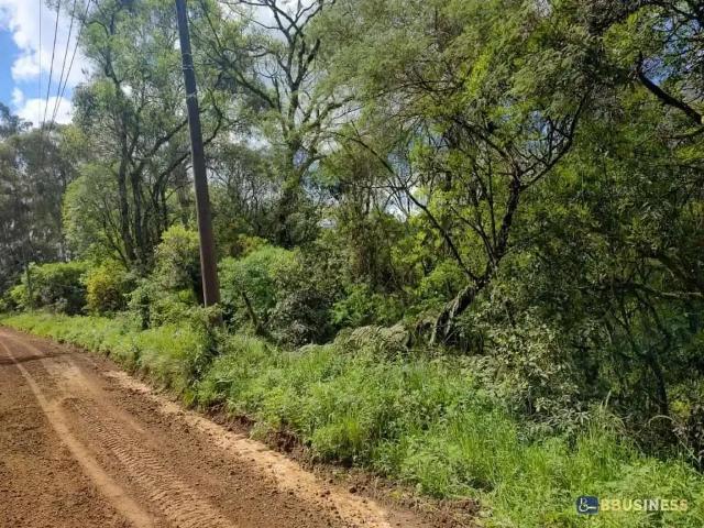 Terreno / Lote para Venda em Caxias do Sul/RS Ana Rech