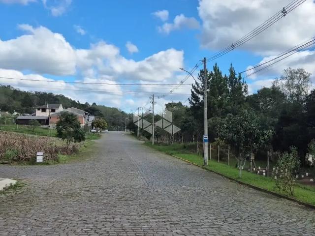 Terreno / Lote para Venda em Caxias do Sul/RS Ana Rech