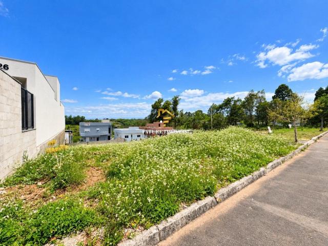 Terreno / Lote para Venda em Caxias do Sul/RS Bela Vista