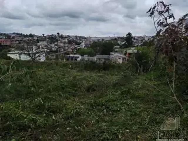 Terreno / Lote para Venda em Caxias do Sul/RS Bela Vista