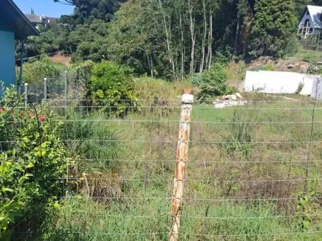 Terreno / Lote para Venda em Caxias do Sul/RS Bela Vista