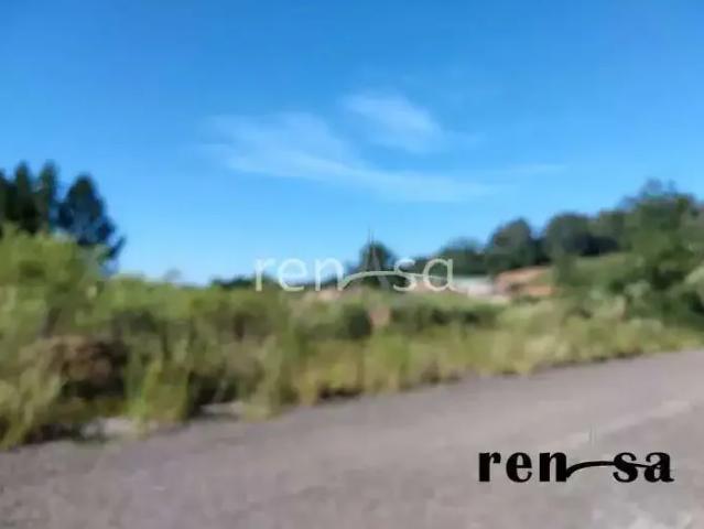Terreno / Lote para Venda em Caxias do Sul/RS Bela Vista