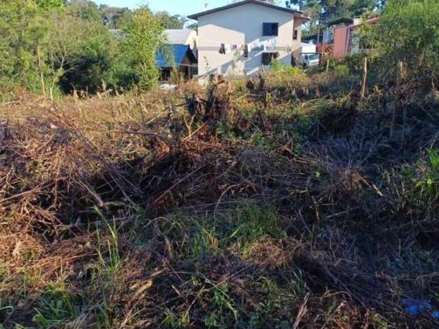 Terreno / Lote para Venda em Caxias do Sul/RS Bela Vista