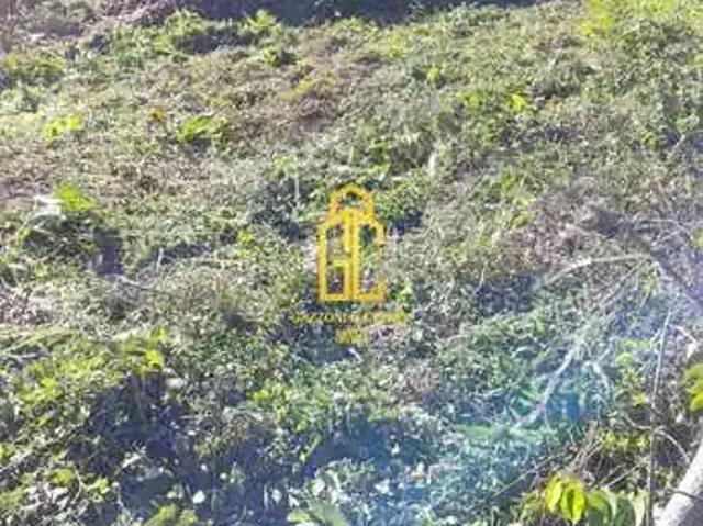 Terreno / Lote para Venda em Caxias do Sul/RS Galópolis