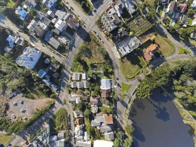Terreno / Lote para Venda em Caxias do Sul/RS Desvio Rizzo