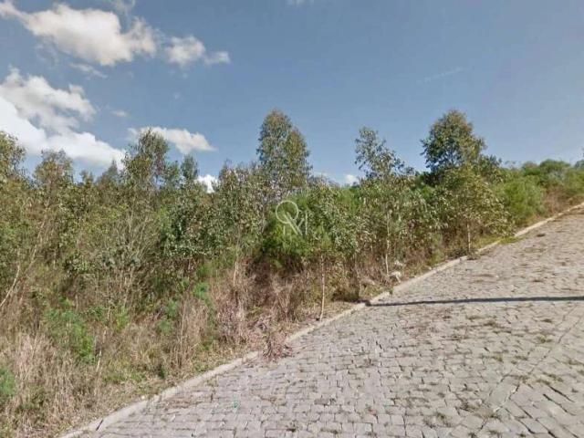Terreno / Lote para Venda em Caxias do Sul/RS Desvio Rizzo
